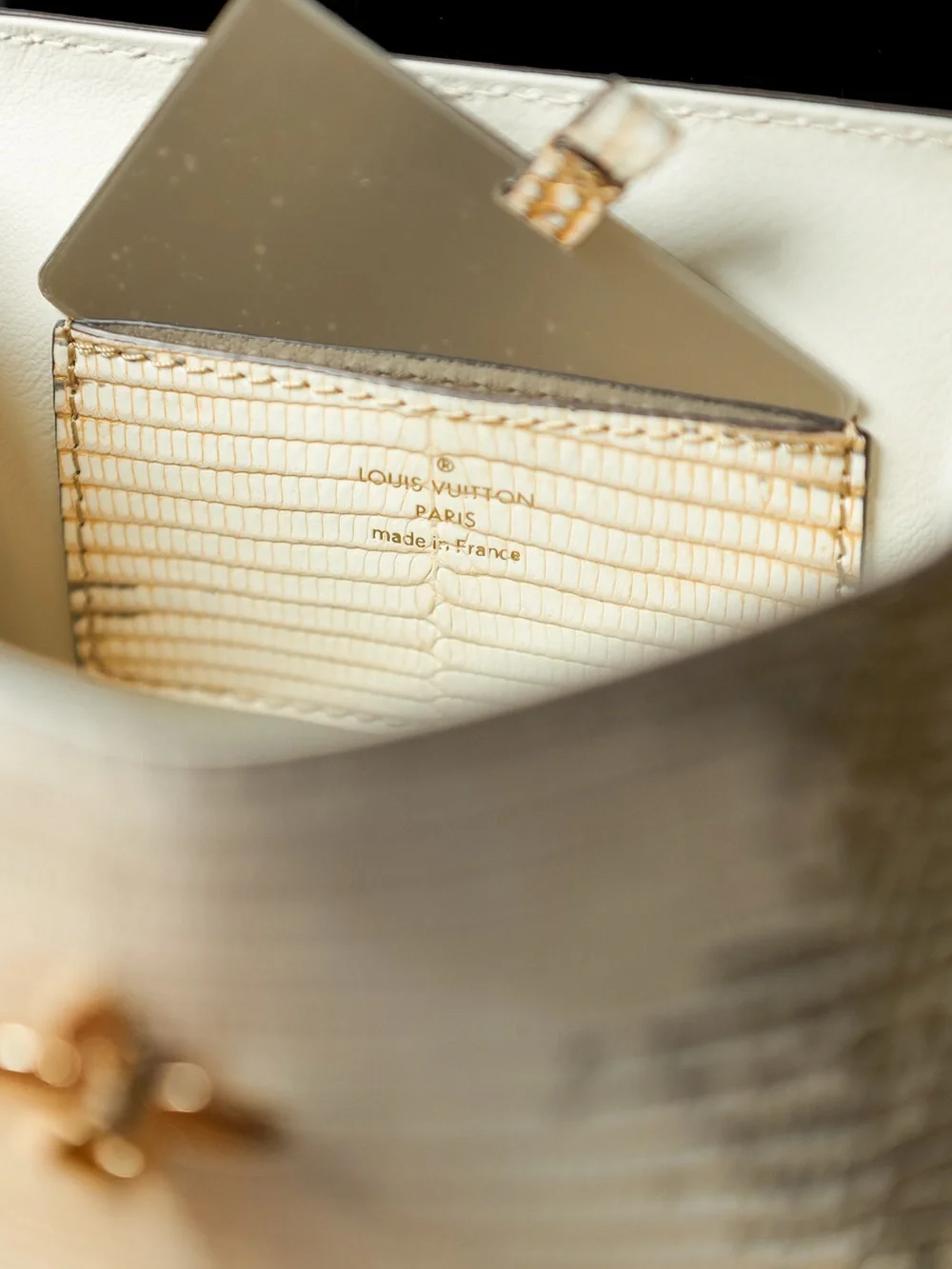 Louis Vuitton Ombre des Vents Lizard Bag Leather